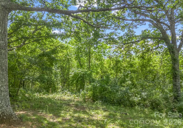 Photo 1 of Land for sale at 61 Sugar Maple Dr, Black Mountain, NC 28711 | MLS# 4414073 | Listing updated on 2026-09-07