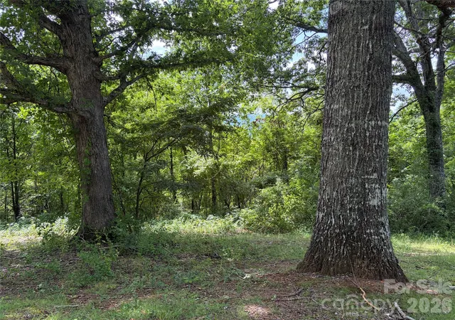 2nd image of 61 Sugar Maple Dr, Black Mountain, NC 28711 | MLS# 4414073