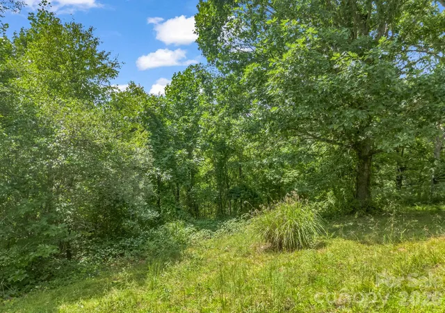 Photo 2 of Land for sale at 61 Sugar Maple Dr, Black Mountain, NC 28711 | MLS# 4414073 | Listing updated on 2026-09-07