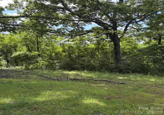 4th image of 61 Sugar Maple Dr, Black Mountain, NC 28711 | MLS# 4414073