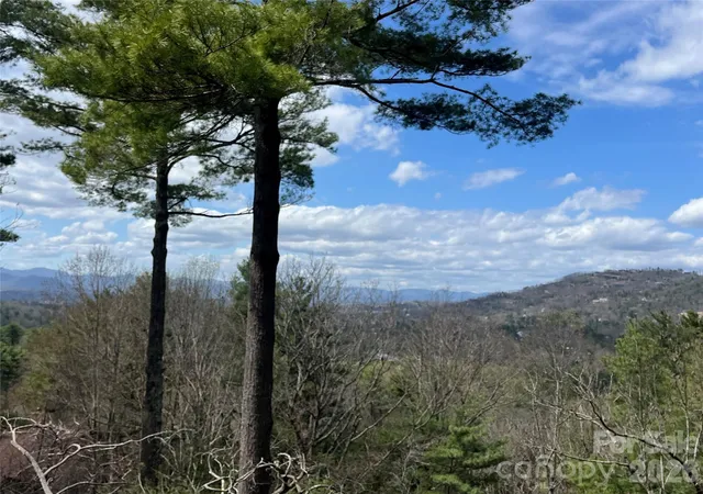 3rd image of 2902-A Timber Trl, Asheville, NC 28804 | MLS# 4414086