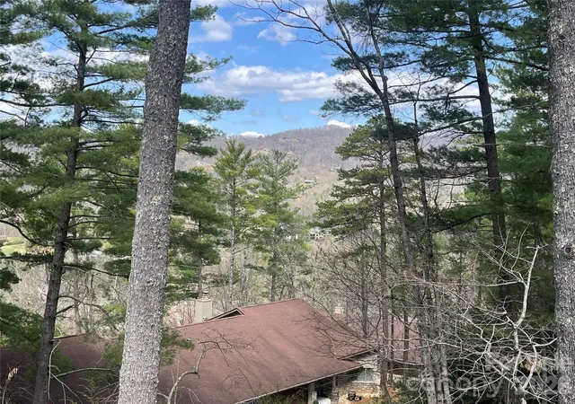 4th image of 2902-A Timber Trl, Asheville, NC 28804 | MLS# 4414086