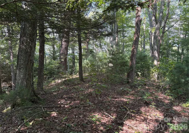 1st image of 00 Early Frost Pl #98, Waynesville, NC 28786 | MLS# 4414125