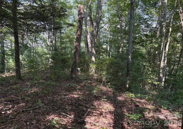 2nd image of 00 Early Frost Pl #98, Waynesville, NC 28786 | MLS# 4414125