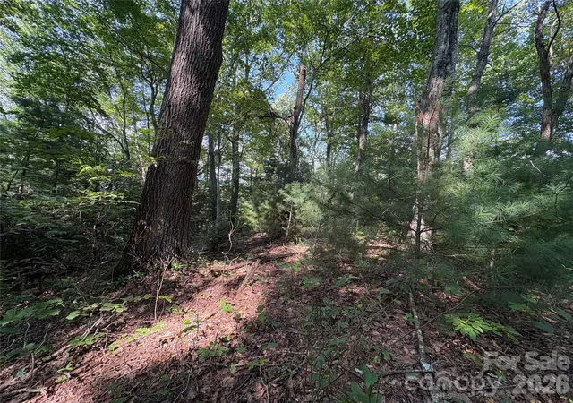 3rd image of 00 Early Frost Pl #98, Waynesville, NC 28786 | MLS# 4414125