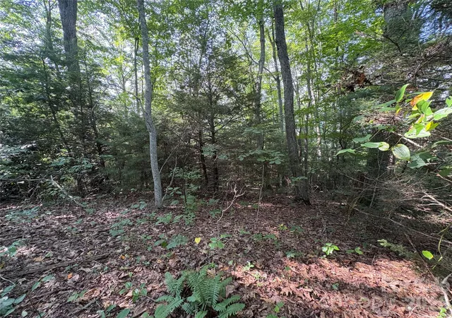 4th image of 00 Early Frost Pl #98, Waynesville, NC 28786 | MLS# 4414125