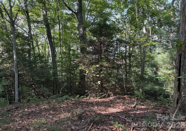 5th image of 00 Early Frost Pl #98, Waynesville, NC 28786 | MLS# 4414125