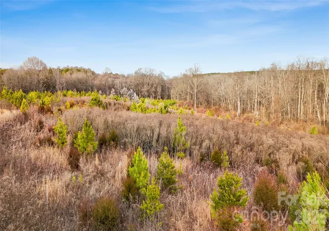 3rd image of 000 River Hill Rd, Statesville, NC 28625 | MLS# 4414167