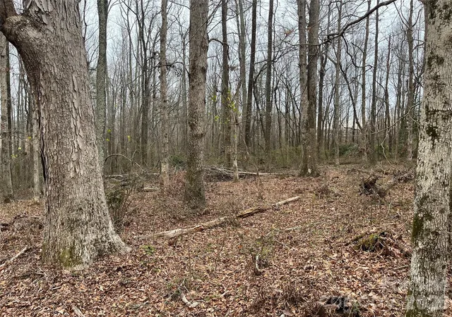 4th image of 417 Davis Rd, Shelby, NC 28152 | MLS# 4414373