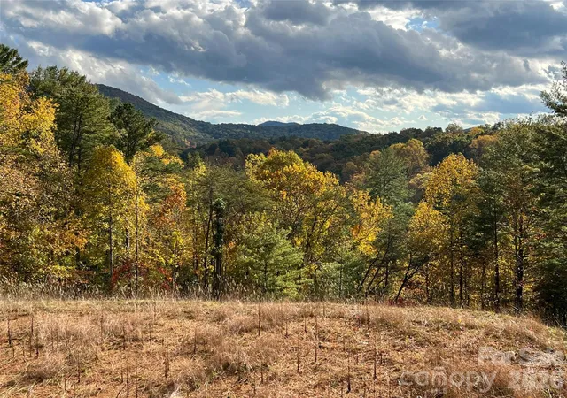 1st image of 165 Riverbend Forest Dr #11, Asheville, NC 28805 | MLS# 4414426
