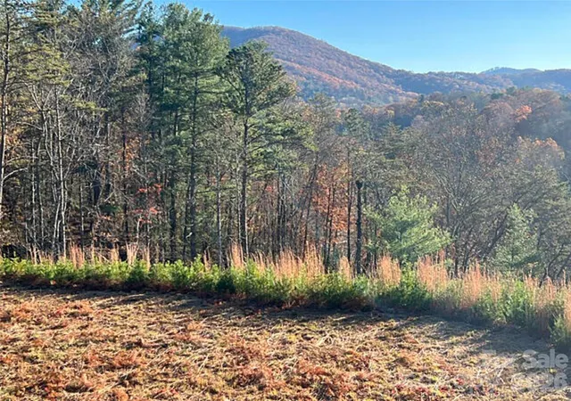 2nd image of 165 Riverbend Forest Dr #11, Asheville, NC 28805 | MLS# 4414426