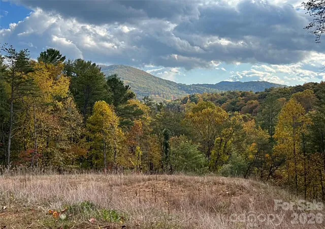 22nd image of 165 Riverbend Forest Dr #11, Asheville, NC 28805 | MLS# 4414426