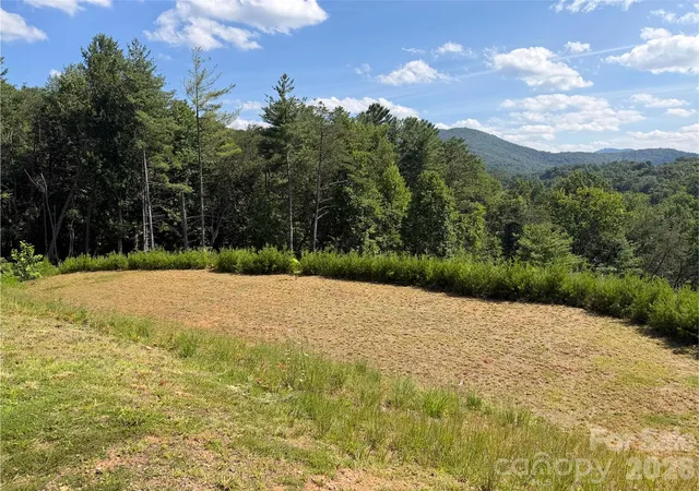 3rd image of 165 Riverbend Forest Dr #11, Asheville, NC 28805 | MLS# 4414426