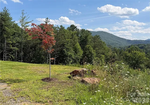 4th image of 165 Riverbend Forest Dr #11, Asheville, NC 28805 | MLS# 4414426