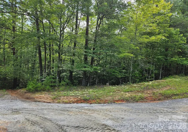 1st image of 0 Hawks Ter #313, Lake Lure, NC 28746 | MLS# 4414488