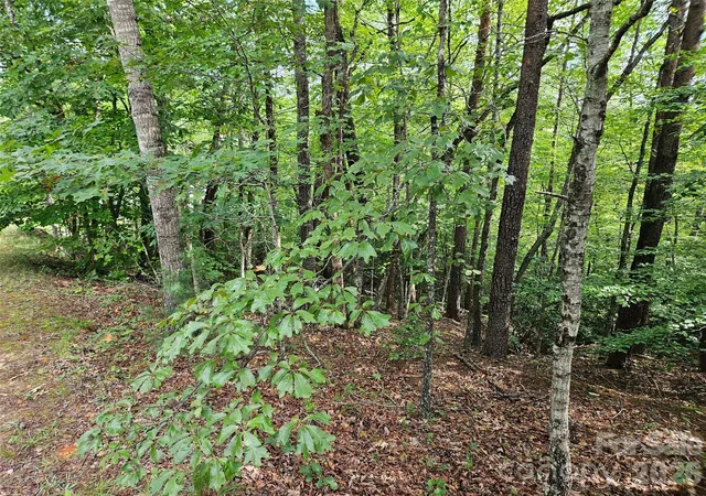 2nd image of 0 Hawks Ter #313, Lake Lure, NC 28746 | MLS# 4414488