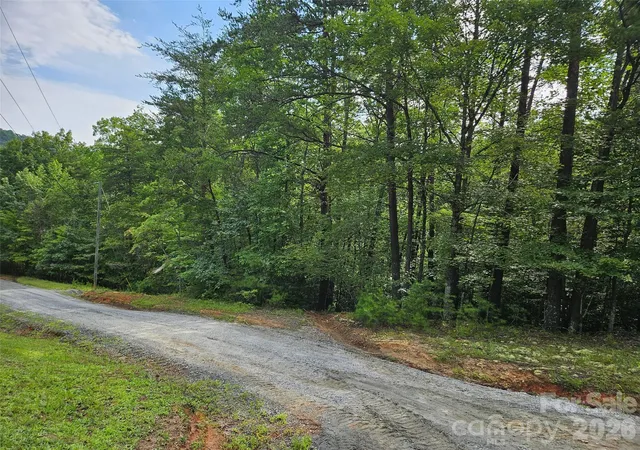 3rd image of 0 Hawks Ter #313, Lake Lure, NC 28746 | MLS# 4414488