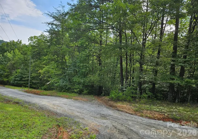 4th image of 0 Hawks Ter #313, Lake Lure, NC 28746 | MLS# 4414488