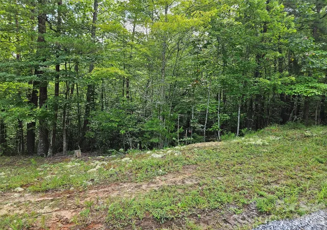 5th image of 0 Hawks Ter #313, Lake Lure, NC 28746 | MLS# 4414488