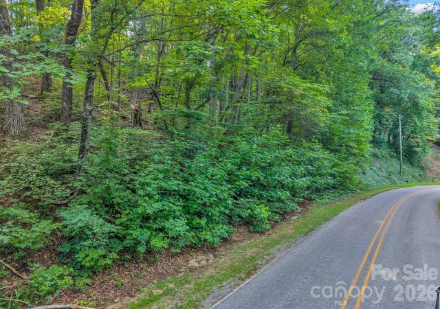 4th image of 00 Hogback Mountain Rd #63, Tryon, NC 28782 | MLS# 4414641