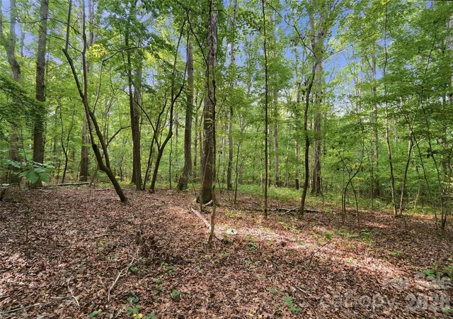 2nd image of Vac Pond Rd, Locust, NC 28097 | MLS# 4414644