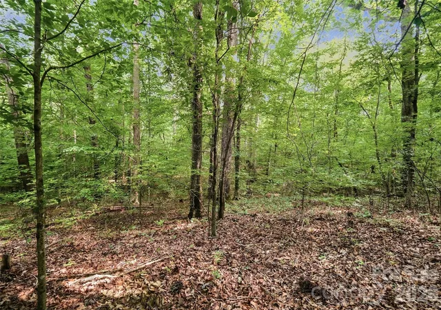 3rd image of Vac Pond Rd, Locust, NC 28097 | MLS# 4414644