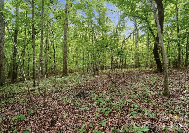6th image of Vac Pond Rd, Locust, NC 28097 | MLS# 4414644