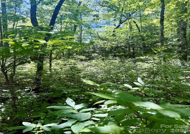 Photo 1 of Land for sale at Tbd Indian Lake Rd #32, Lake Toxaway, NC 28747 | MLS# 4414649 | Listing updated on 2026-08-25
