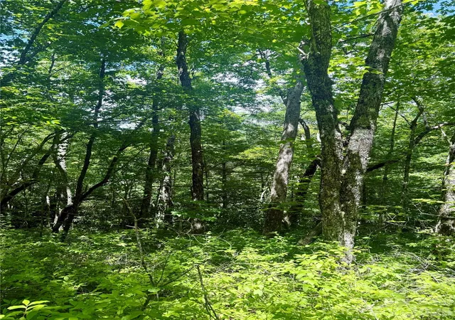 Photo 2 of Land for sale at Tbd Indian Lake Rd #32, Lake Toxaway, NC 28747 | MLS# 4414649 | Listing updated on 2026-08-25