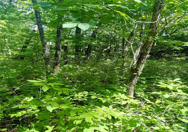 Photo 3 of Land for sale at Tbd Indian Lake Rd #32, Lake Toxaway, NC 28747 | MLS# 4414649 | Listing updated on 2026-08-25