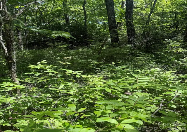 Photo 4 of Land for sale at Tbd Indian Lake Rd #32, Lake Toxaway, NC 28747 | MLS# 4414649 | Listing updated on 2026-08-25