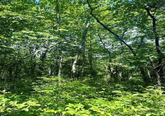 Photo 5 of Land for sale at Tbd Indian Lake Rd #32, Lake Toxaway, NC 28747 | MLS# 4414649 | Listing updated on 2026-08-25