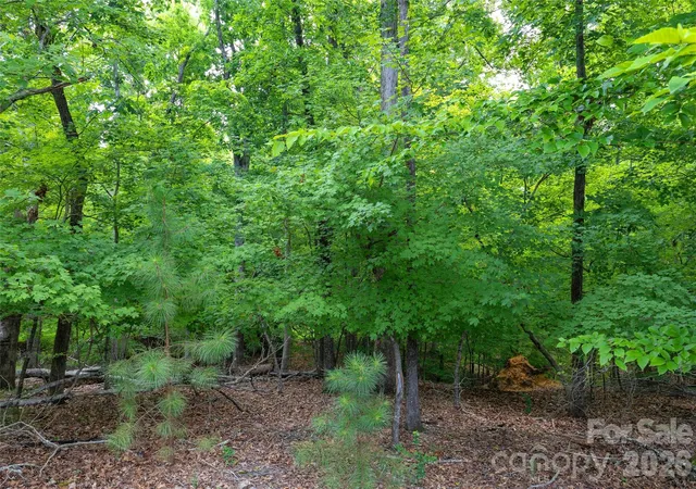 48th image of 17232 Coves Edge Ln, Charlotte, NC 28278 | MLS# 4414653