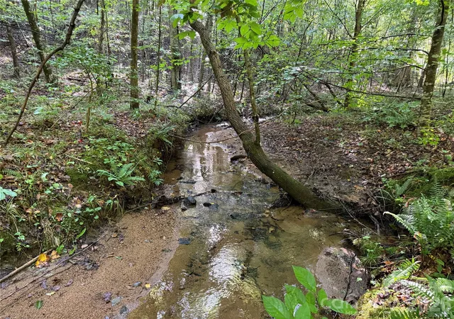 Photo 3 of Land for sale at 00 226 Highway S, Union Mills, NC 28167 | MLS# 4414788 | Listing updated on 2026-08-21