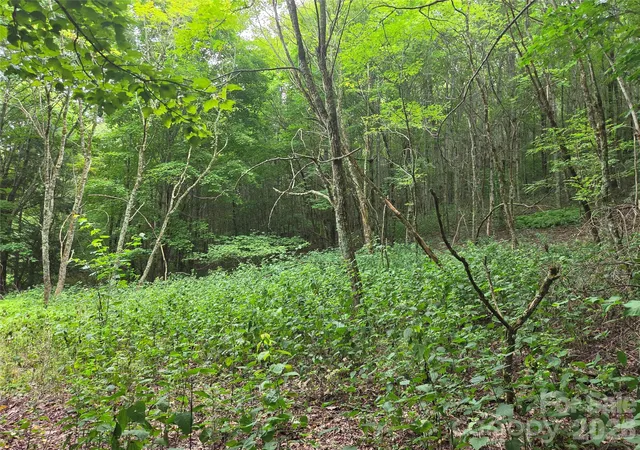 Photo 3 of Land for sale at 701 Pigeon Roost Rd, Banner Elk, NC 28604 | MLS# 4414807 | Listing updated on 2026-08-14