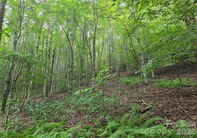 Photo 4 of Land for sale at 701 Pigeon Roost Rd, Banner Elk, NC 28604 | MLS# 4414807 | Listing updated on 2026-08-14