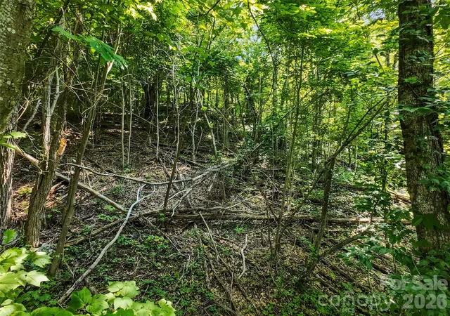 16th image of Lot #69 Twisted Trl #69, Waynesville, NC 28786 | MLS# 4414865