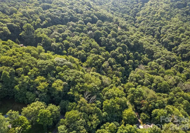3rd image of Lot #69 Twisted Trl #69, Waynesville, NC 28786 | MLS# 4414865