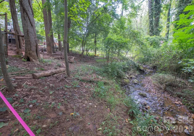 Photo 3 of Land for sale at 99999 Rumbough Pl, Asheville, NC 28806 | MLS# 4414874 | Listing updated on 2026-09-26