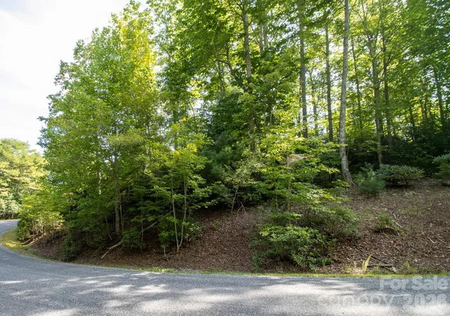 Photo 3 of Land for sale at Tbd Kelly Mountain Rd #19, Brevard, NC 28712 | MLS# 4414877 | Listing updated on 2026-09-01
