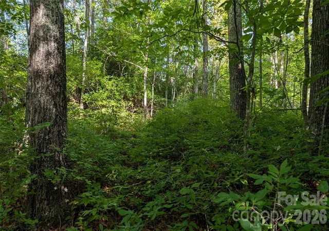 Photo 5 of Land for sale at Tbd Kelly Mountain Rd #19, Brevard, NC 28712 | MLS# 4414877 | Listing updated on 2026-09-01