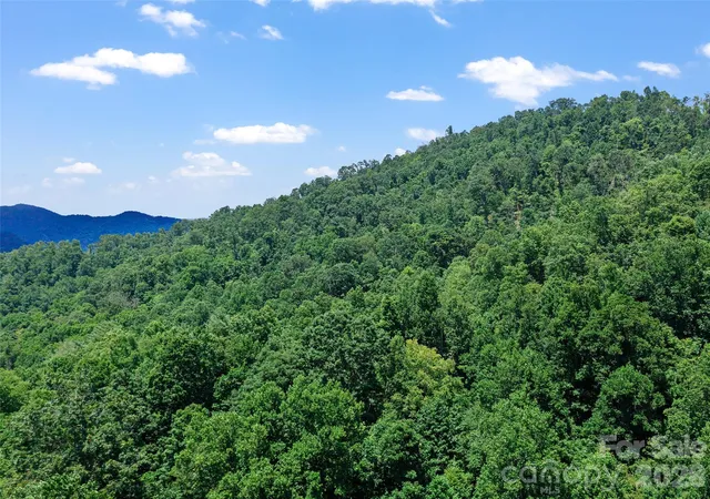 34th image of 1377 Langford Branch Rd, Burnsville, NC 28714 | MLS# 4414898