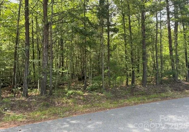 1st image of Lot 33 Justice Dr #33, Lake Lure, NC 28746 | MLS# 4414901