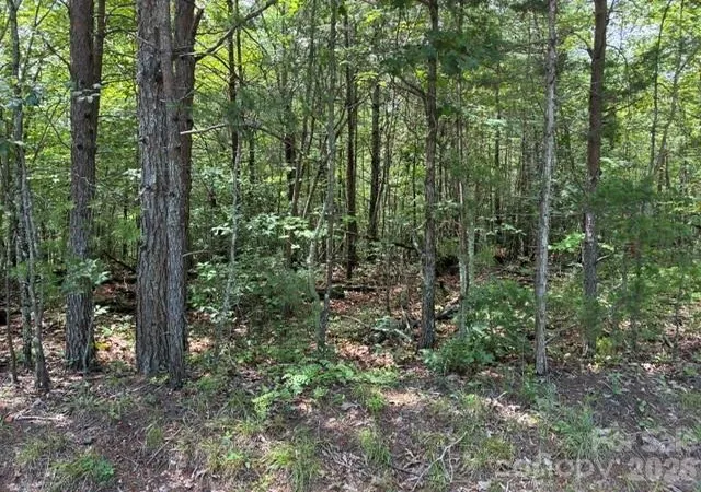 2nd image of Lot 33 Justice Dr #33, Lake Lure, NC 28746 | MLS# 4414901
