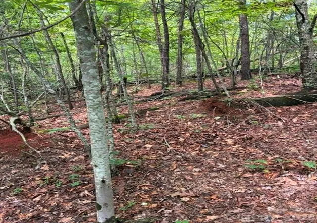 3rd image of Lot 33 Justice Dr #33, Lake Lure, NC 28746 | MLS# 4414901