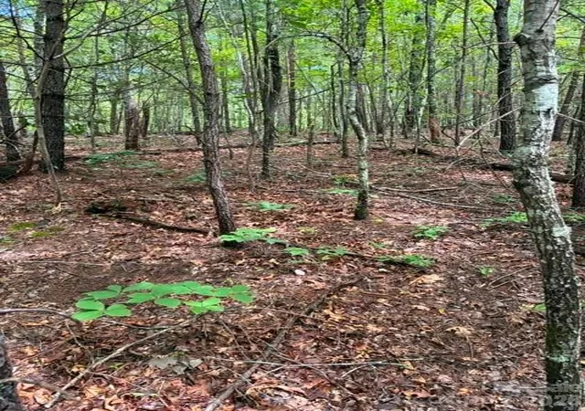 4th image of Lot 33 Justice Dr #33, Lake Lure, NC 28746 | MLS# 4414901