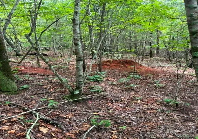 5th image of Lot 33 Justice Dr #33, Lake Lure, NC 28746 | MLS# 4414901