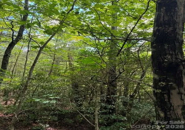 6th image of Lot 33 Justice Dr #33, Lake Lure, NC 28746 | MLS# 4414901