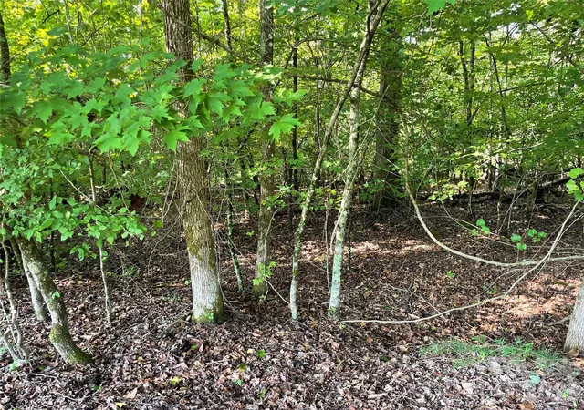 4th image of 0 River Bend Dr #49, Connelly Springs, NC 28612 | MLS# 4414953