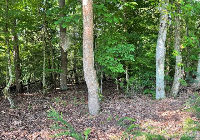 5th image of 0 River Bend Dr #49, Connelly Springs, NC 28612 | MLS# 4414953